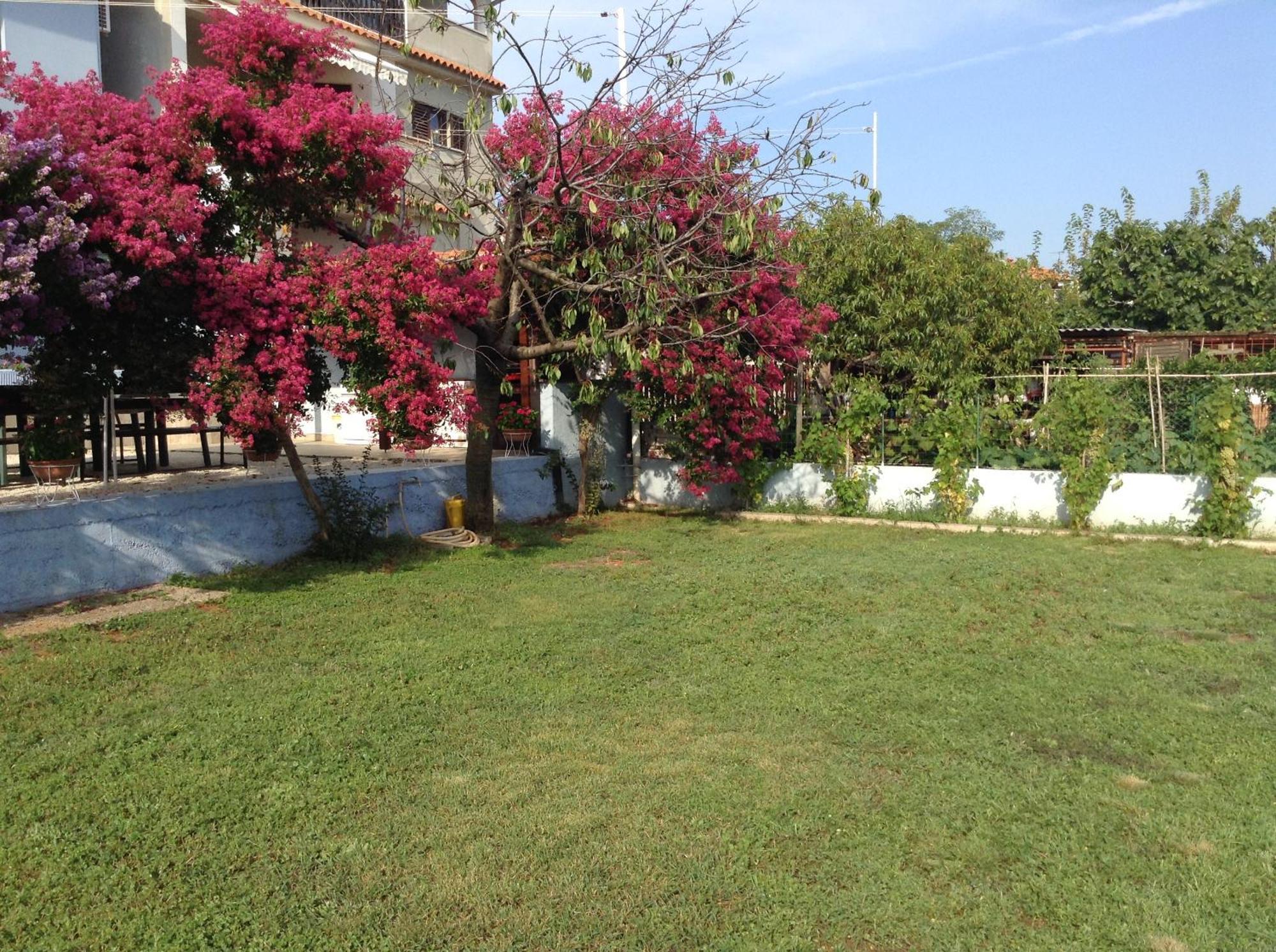 The Blue House Apartment Винкуран Екстериор снимка